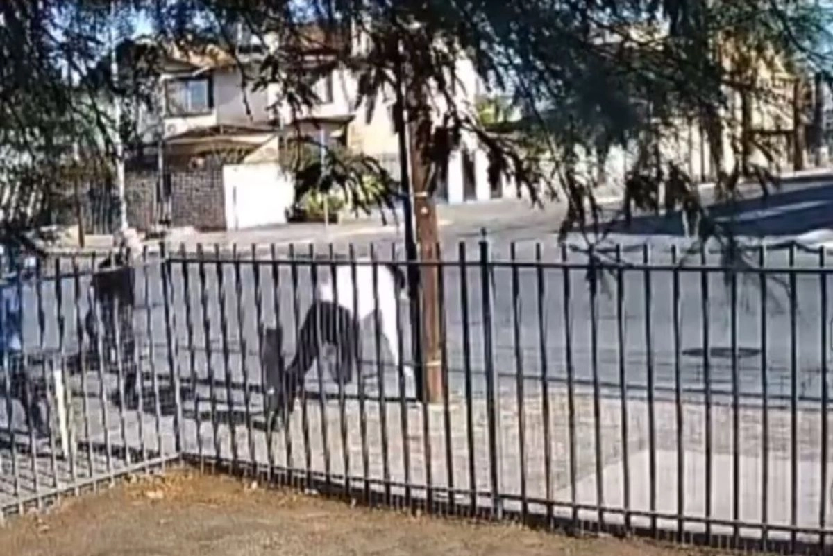 El ataque al periodista Jorge Heras, en Baja California, quedó registrado en cámaras de vigilancia. Foto