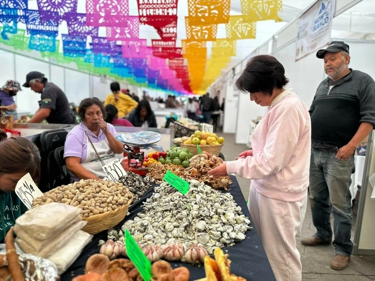 En la feria también participaron recolectores de hongos. Foto tomada de https://www.facebook.com/AlcaldiaCuajimalpadeMorelos