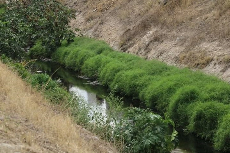 Una extensión de entre cuatro y cinco kilómetros del río Papalote fue la que resultó contaminada con combustóleo. Foto Protección Civil de Tizayuca
  