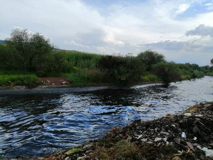 El químico se vertió en un ramal del Canal Alto Requena de aguas negras que pasa por el lugar por lo que los residuos petroleros fueron conducidos a tierras de cultivo de riego. Foto La Jornada
