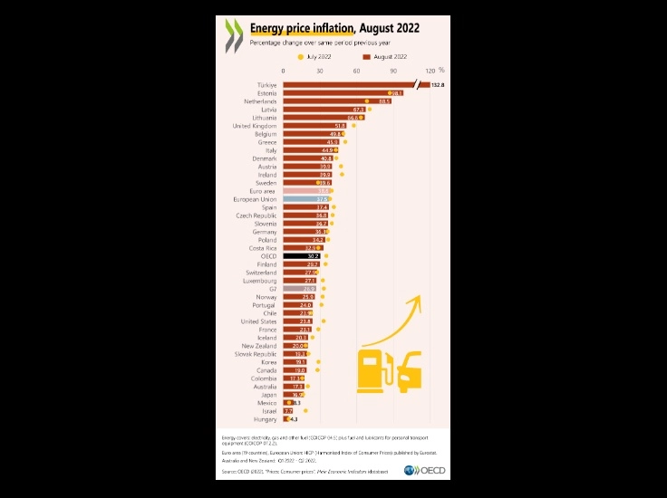 La desaceleración en precios de energéticos está dando paso a cierta contención en la inflación promedio en los países que integran la Organización para la Cooperación y el Desarrollo Económicos, la cual en agosto fue de 10.3%. Imagen tomada de Twitter @OECD