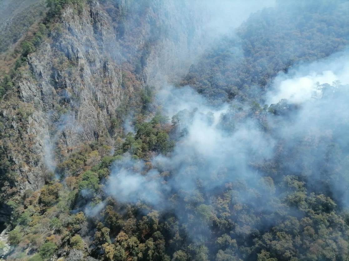 El incendio forestal en la Sierra de Santiago, Nuevo León ha consumido 35 hectáreas. Foto Protección Civil Estatal