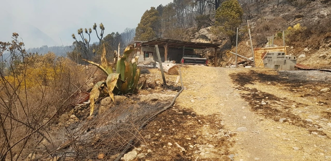 De los mil cien evacuados sólo 95 eligieron permanecer en el Hotel Cola de Caballo, donde también se localiza el Centro de Mando, el resto prefirió permanecer con familiares y amigos. Foto cortesía Protección Civil
