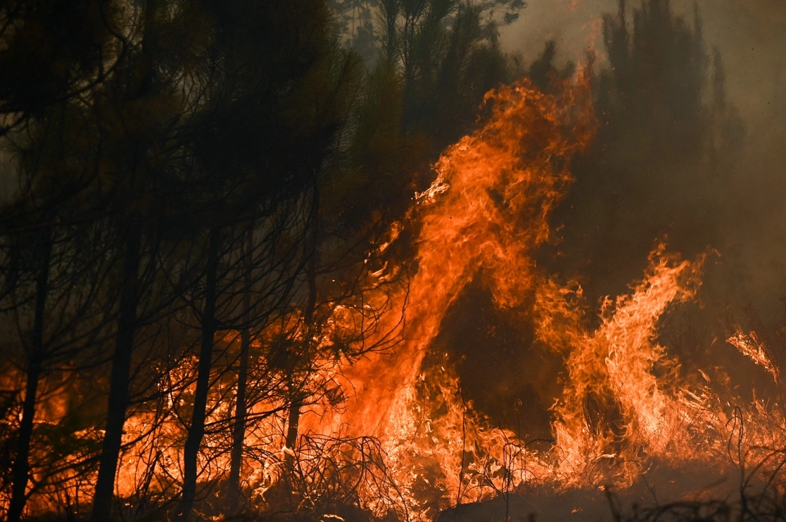 Dos grandes incendios calcinaron desde hace una semana 14 mil hectáreas de vegetación en esta zona situada al sur de Burdeos. La imagen, en Louchats, el 18 de julio de 2022. Foto Afp 