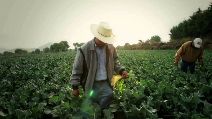 Campesinos en Puebla. Foto 'La Jornada de Oriente' / Archivo