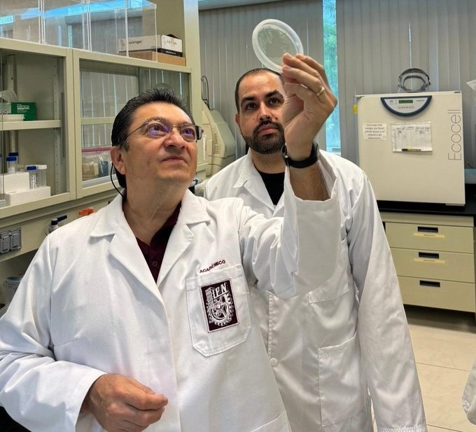El grupo de trabajo elaboró una formulación en polvo basada en esporas B25. Foto IPN