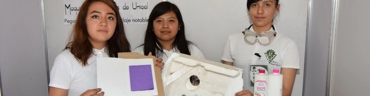 El prototipo fue construido por las alumnas Lorna Figueroa Ramírez, Akanne Martínez Ramírez y Jaqueline Paola Pérez Flores del Cecyt 2 “Miguel Bernard”. Imagen tomada de https://www.ipn.mx/CCS/comunicados/ver-comunicado.html?y=2020&n=51
