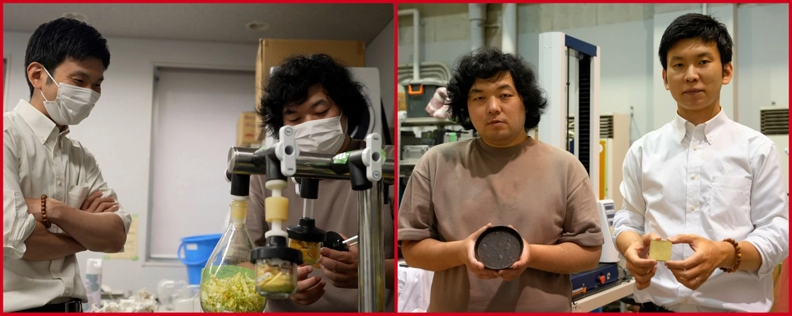Yuya Sakai y Kota Machida revisan verduras secas y cáscaras de frutas antes de pulverizarlas en su laboratorio de la Universidad de Tokio. Abajo, muestran las piezas elaboradas con su tecnología. Foto Ap