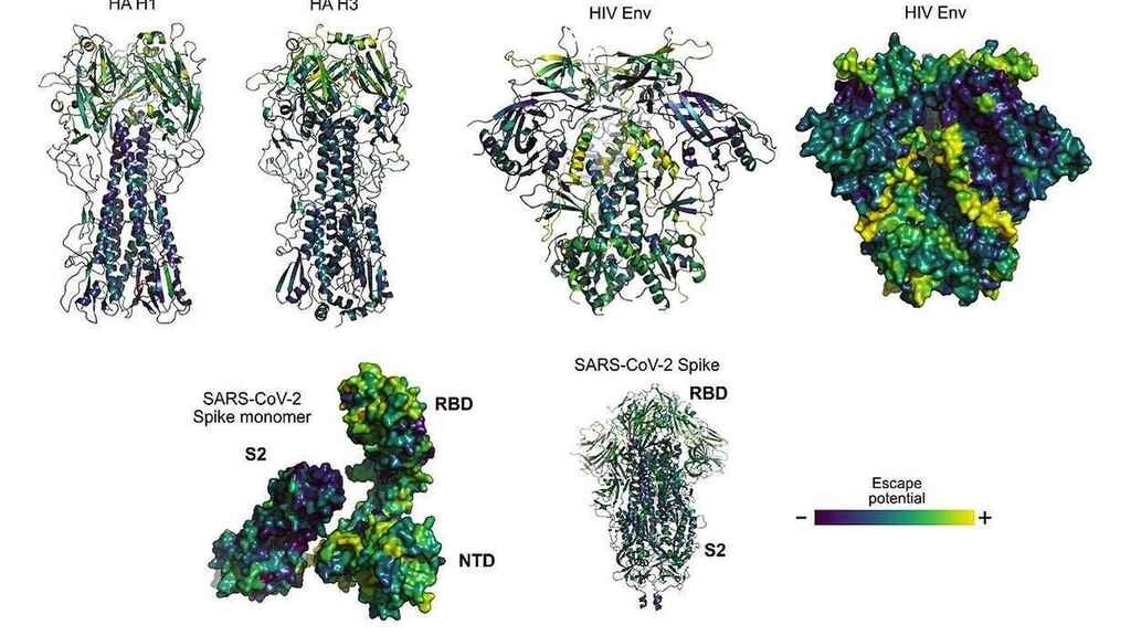 Proteínas de virus de la gripe, VIH y SARS-CoV-2 con zonas coloreadas según su potencial de mutación. Imagen tomada del Twitter de @MIT / Archivo