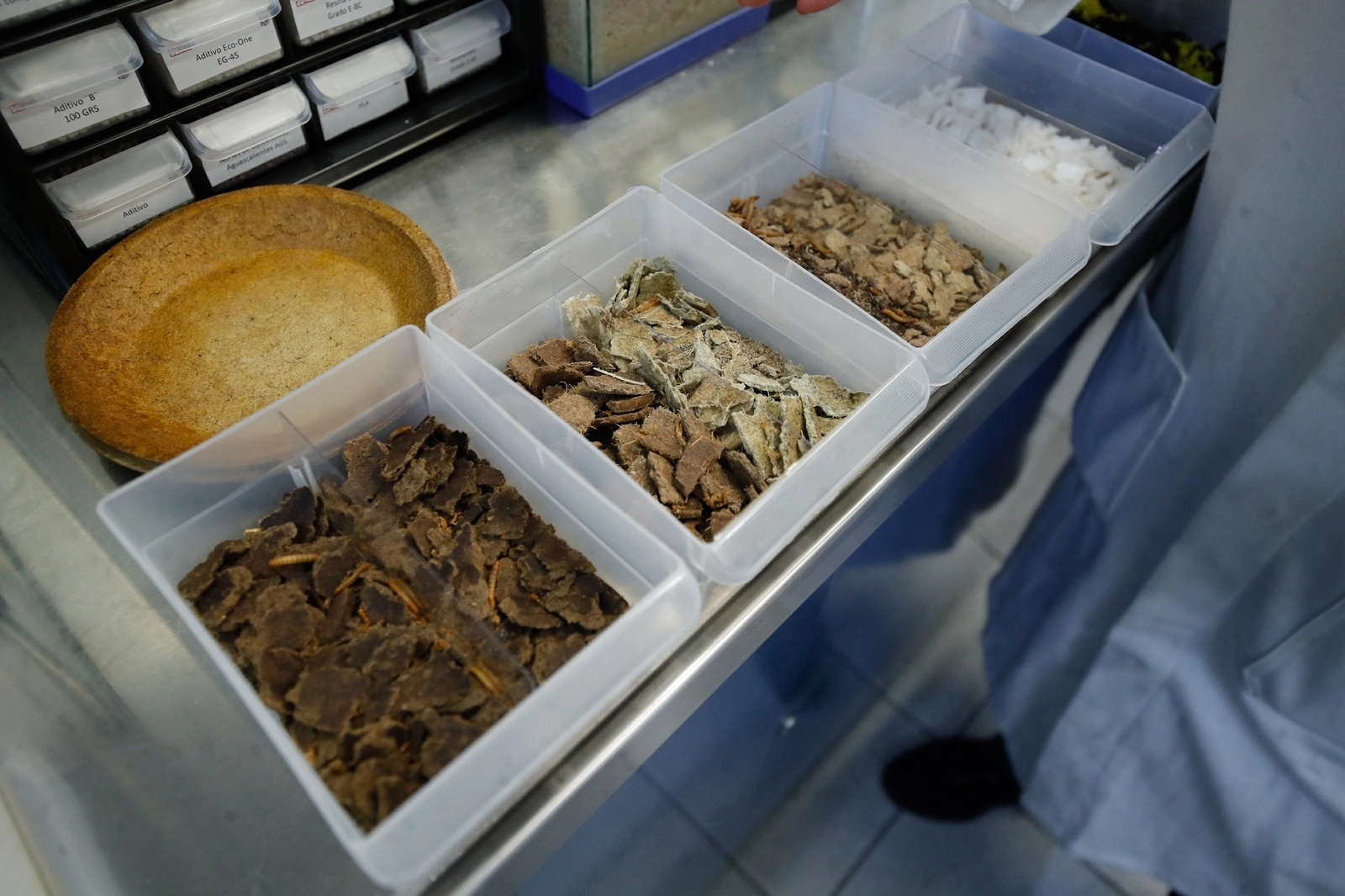 La doctora María Neftalí Rojas Valencia dirige el proyecto de larvas que comen plástico y producen abono con su excremento, en el Instituto de Ingeniería de la UNAM. Foto Cristina Rodríguez