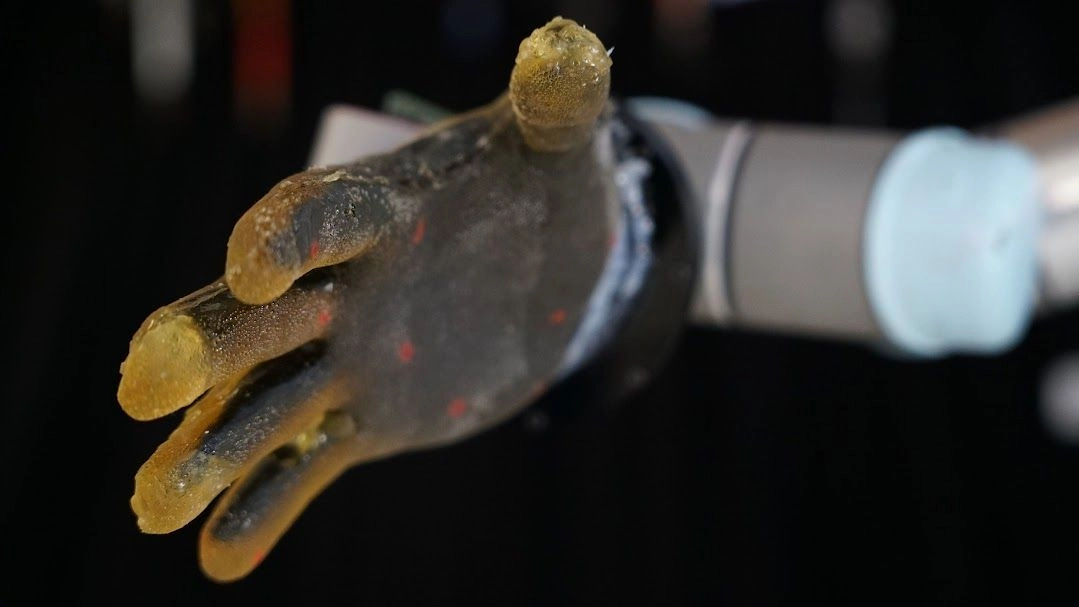 La piel está fabricada con un material de gel flexible y económico y transforma toda la superficie de una mano robótica en un sensor inteligente. Foto 