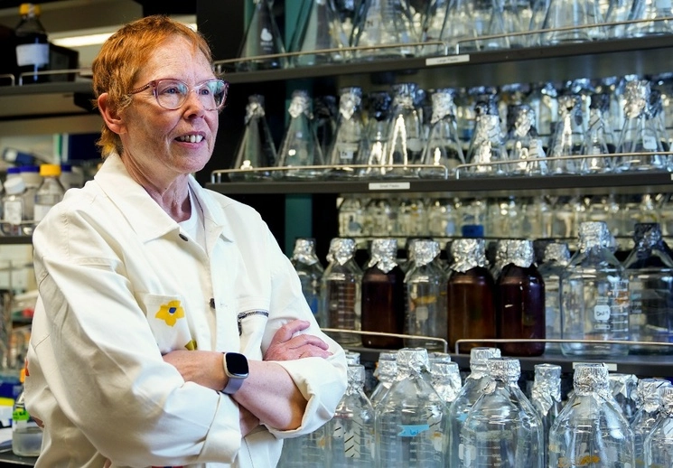 Para que una inoculación funcione, debe enseñar a las células T del sistema inmunológico a reconocer el cáncer como peligroso, explicó Nora Disis. Foto Ap