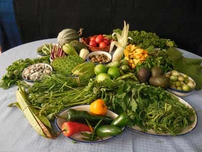 Variedad de vegetales en imagen de archivo. Foto La Jornada
