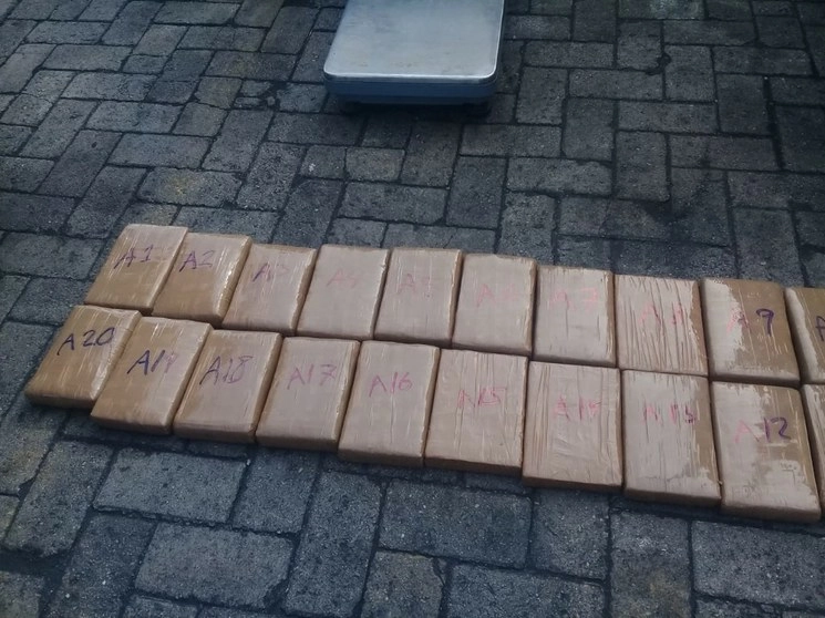 Imagen cortesía de Semar