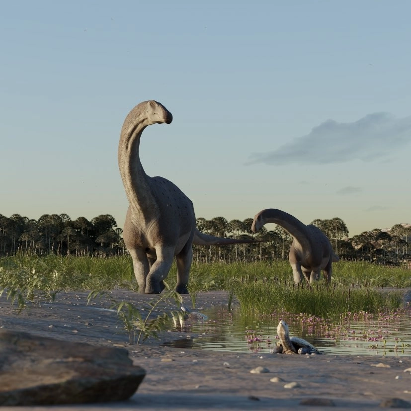 El hallazgo tuvo lugar en la formación La Colonia, en la provincia de Chubut (sur), y fue reportado este jueves en la revista científica Historical Biology. Foto @mefpatagonia