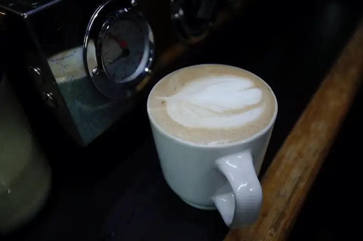 Recorrido por el Café Tumbalá que se dedica a la producción y comercialización de un aromático orgánico originario de Tumbalá en Chiapas, ubicado en Tlalpan. Foto Cristina Rodríguez 