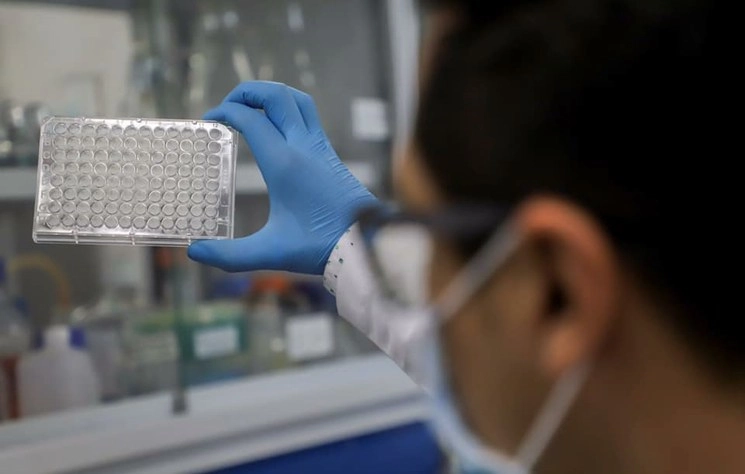 La investigación, publicada en el diario científico ACS Nano del que la mexicana es editora, servirá para diseñar una nueva droga que pueda unirse a la proteína de la espícula del SARS-CoV-2. Foto Facebook de la UAQ