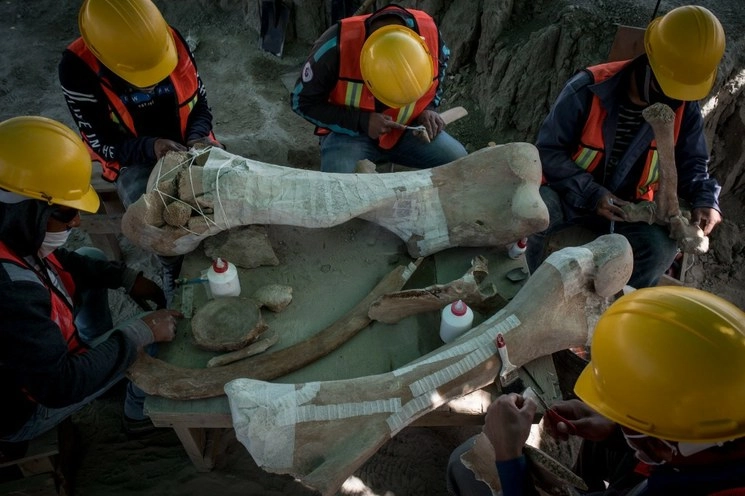 Trabajadores capacitados por personal del INAH realizan las labores de extracción, cuidado y rescate de los huesos encontrados en terrenos donde se realizan las labores para el NAIM, en Santa Lucía, Edomex. Foto Cuartoscuro 