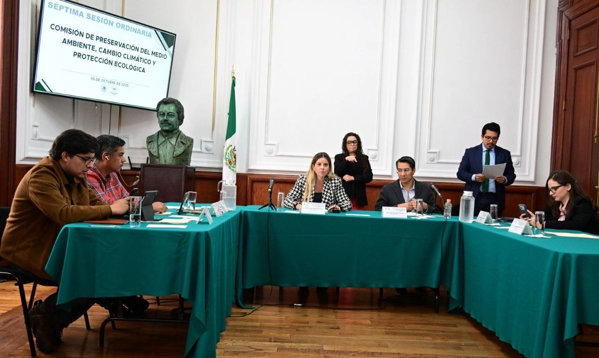 Se prevé que en la sesión del jueves, el pleno ratifique el nombramiento de la bióloga por la Universidad Nacional Autónoma de México, quien se desempeñó como subprocuradora de Protección Ambiental de la PAOT.
