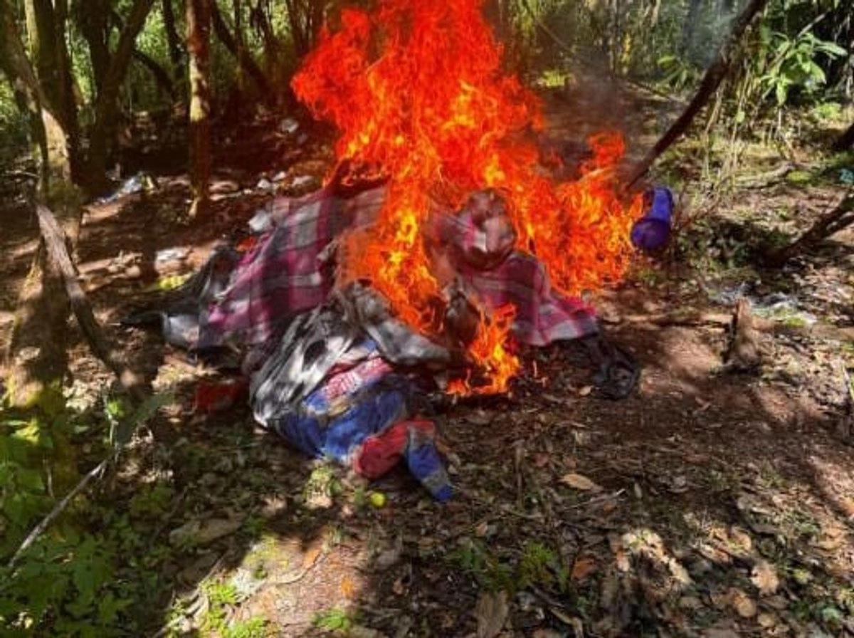Elementos estatales de seguridad y personal de la Defensa localizaron cuatro campamentos clandestinos en la región michoacana de Tierra Caliente, usados presuntamento por el crimen organizado. Foto 