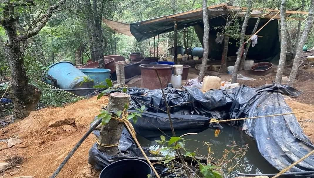En un operativo de fuerzas federales se logró el aseguramiento de un arma larga, cargadores, así como de mil 75 litros y 250 kilogramos de sustancias químicas. Foto
