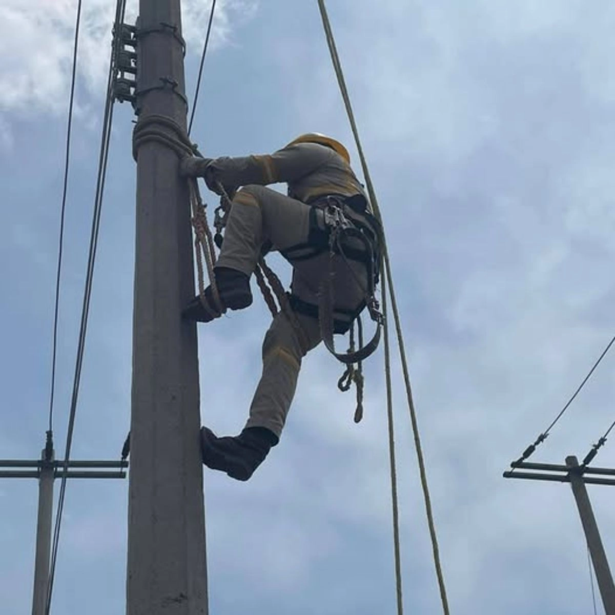 Personal de la CFE laborando. Foto