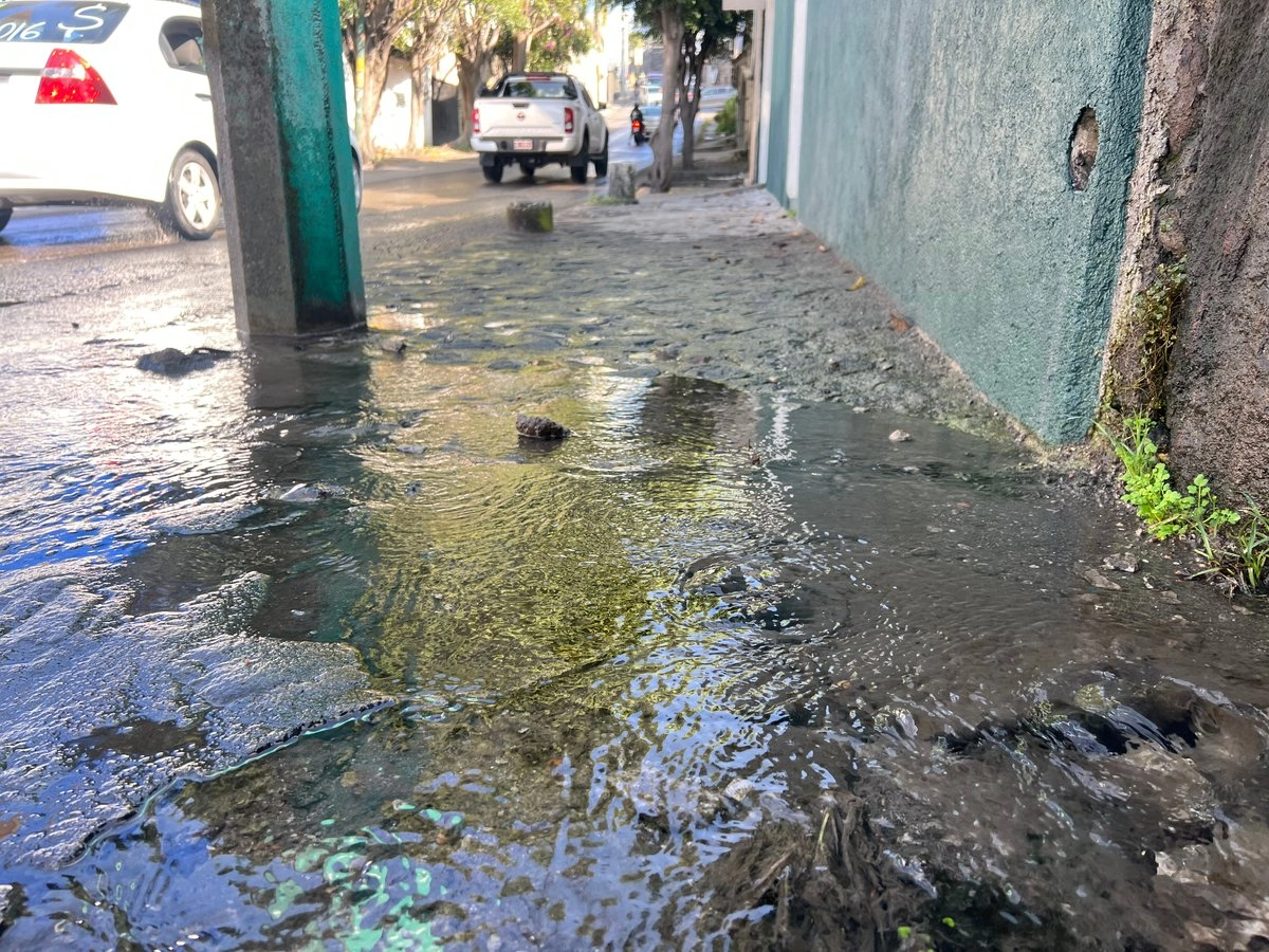 Ninguna brigada ha ido a repararla para evitar que miles de litros por segundo se sigan desperdiciando en perjuicio de los propios vecinos.