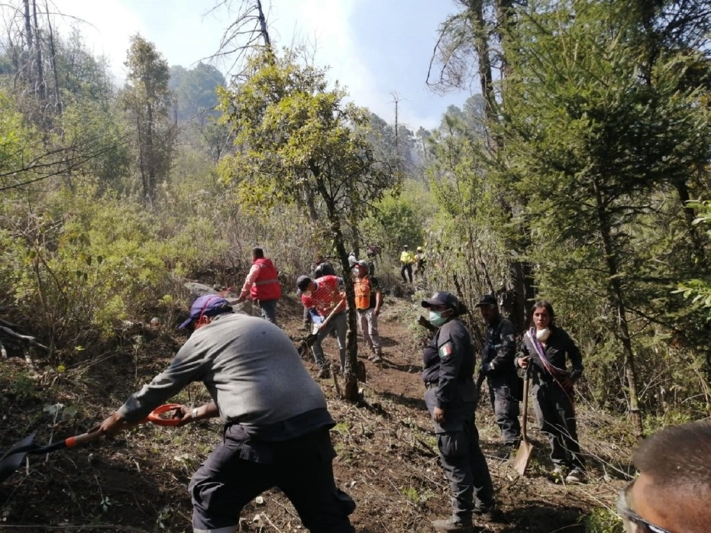 Brigadistas y agentes en el combate al fuego. Foto La Jornada/ archivo