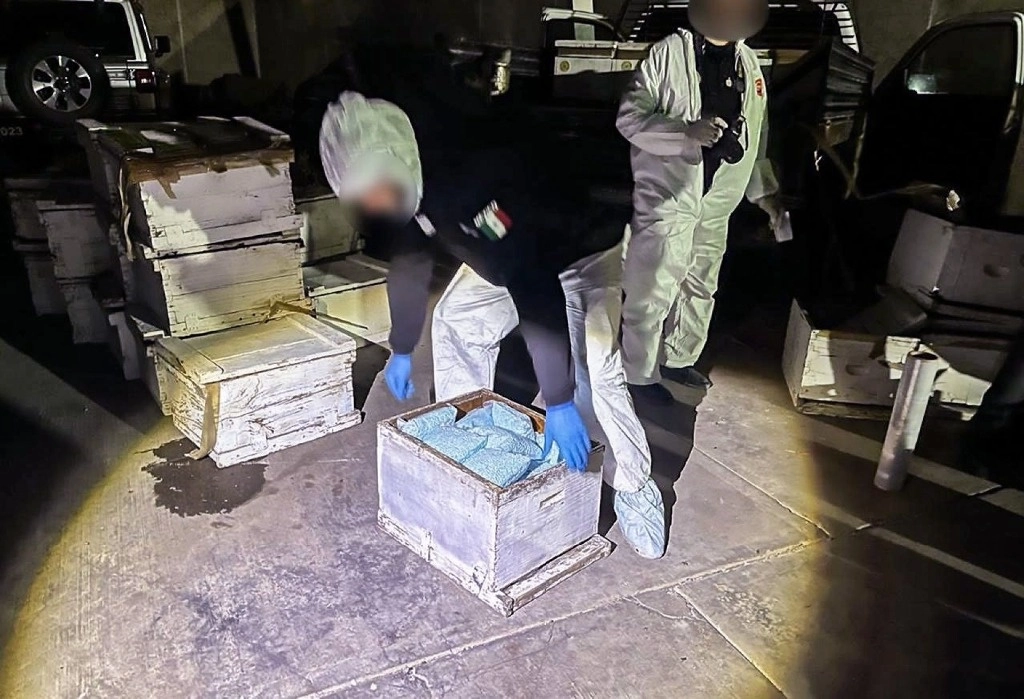 El cierre del 2024 e inicio del 2025 estuvo marcado por importante decomisos de droga, informó el Gabinete de Seguridad. Foto Cuartoscuro/Archivo
