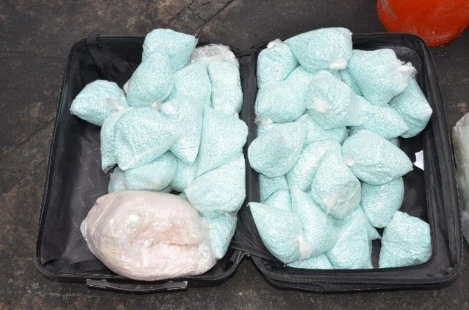 Pastillas de fentanilo aseguradas durante el operativo. Foto 