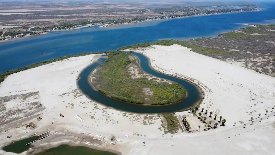 Sin que exista constancia de que haya cumplido con la manifestación de impacto ambiental, la firma Housesin Desarrollos destruyó la vegetación en una franja de Isla Cortés, en Navolato, barrera natural contra huracanes y hábitat de diversas especies. Foto 