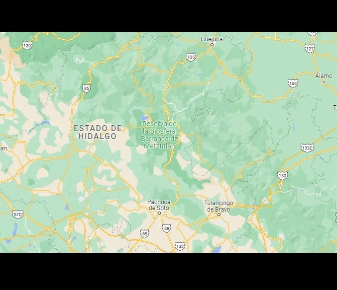 Agentes de la Subprocuraduría de Delitos de Género de la PGJEH detuvieron al funcionario de Mixquiahuala, Hidalgo. Foto Tomada de Google Maps