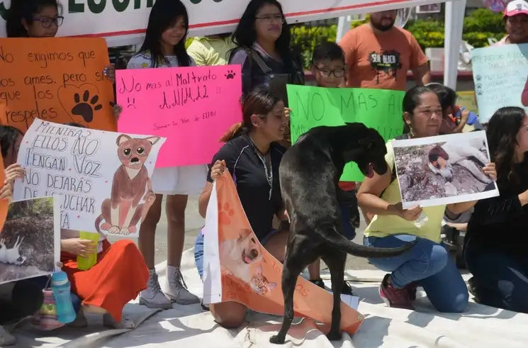 Protesta contra el maltrato animal. Foto Cuartoscuro/ archivo