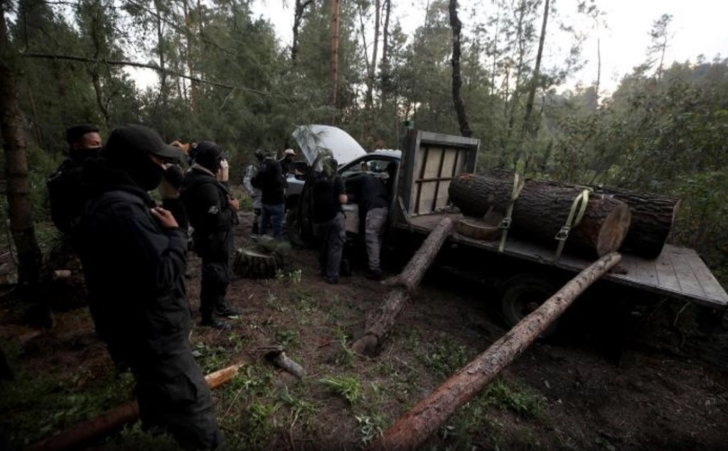 La Corenadr destacó que desde 2019 a la fecha, como parte de la estrategia para frenar los delitos ambientales en las áreas verdes se han realizado más de cinco mil recorridos de vigilancia. Foto la Jornada / archivo