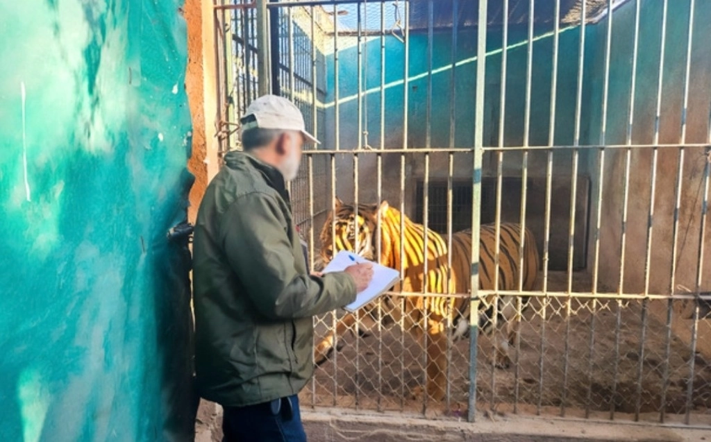 Con la documentación que se reúna, la Profepa verificará si existe o no una apropiación legal de los ejemplares con los que actualmente cuenta el parque y que haya congruencia entre lo manifestado en su plan de manejo y las bajas reportadas. Foto 'La Jornada'