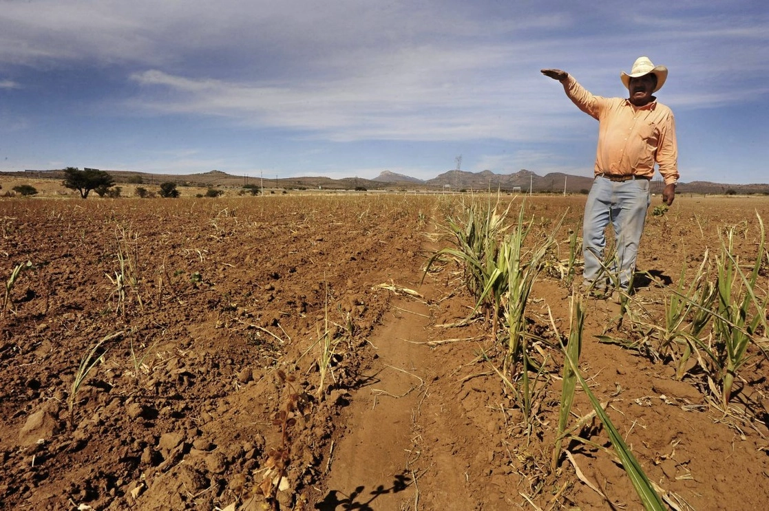 De los 39 municipios de Durango, 24 se encuentran en sequía extrema y 15, en severa, pues desde el 15 de septiembre de 2020 no llueve en la entidad. Foto Cuartoscuro / Archivo