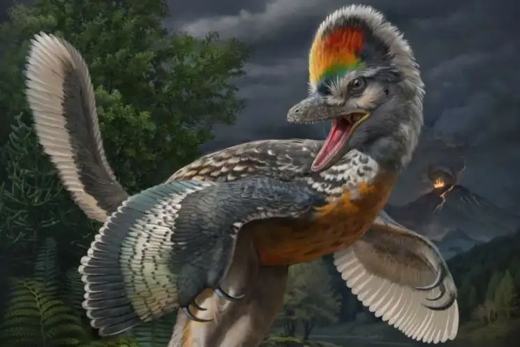 Científicos anunciaron que habían desenterrado en la provincia de Fujian el fósil de un dinosaurio del periodo Jurásico al que bautizaron ‘Fujianvenator prodigiosus’, una criatura que arroja luz sobre una etapa evolutiva crucial en el origen de las aves. Foto Europa Press