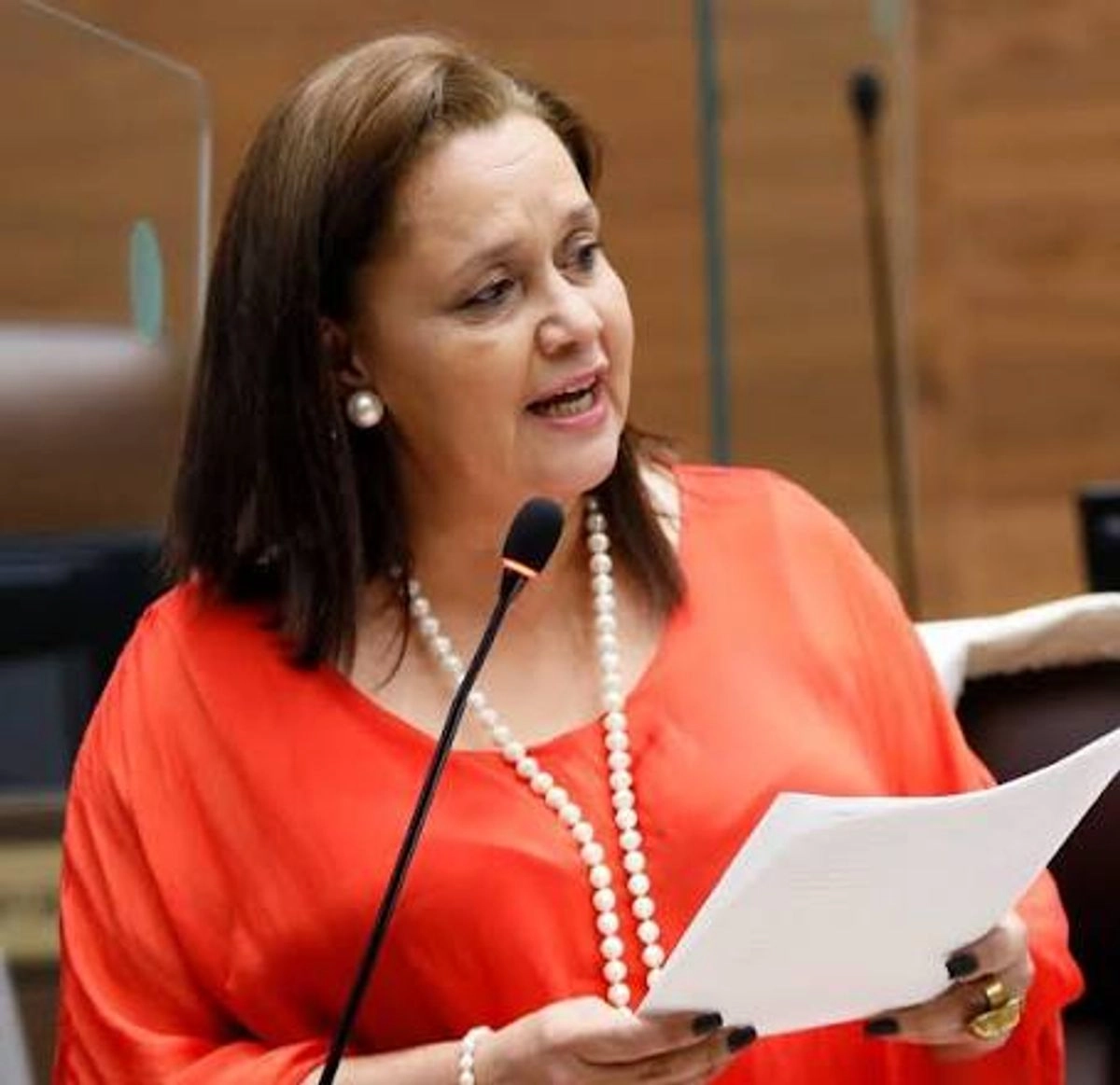 “Yo fui y averigüé y me dijeron en la Embajada que habían recibido información, entre otras cosas, que yo tenía relación con miembros del Partido Comunista Chino ”, afirmó la legisladora. Foto