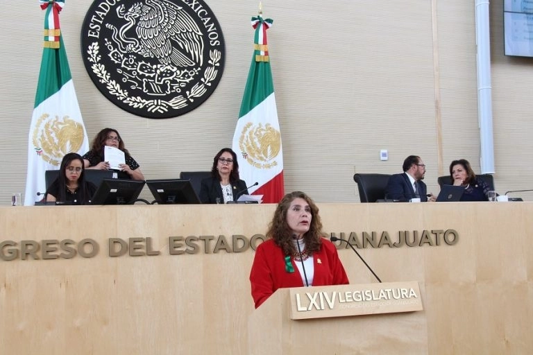 La diputada fue agredida por policías durante una manifestación. Foto Congreso de Guanajuato
