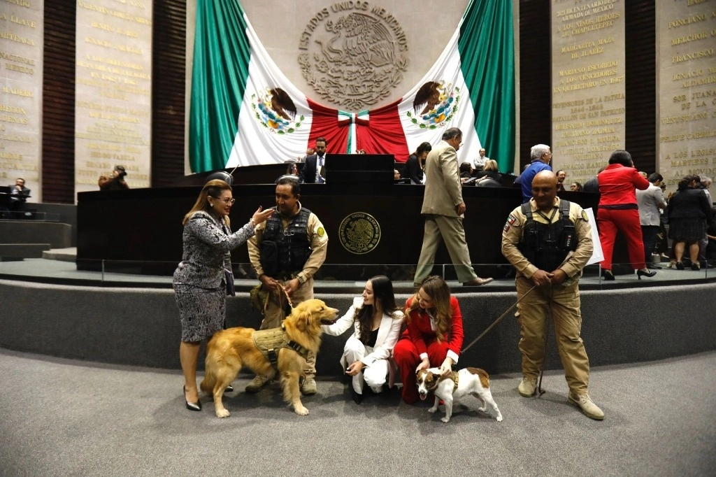 Legisladores convivieron con agentes caninos durante la sesión. Foto Germán Canseco