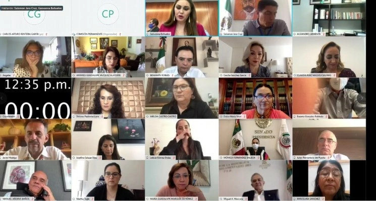 Sesión virtual de la Comisión Permanente. Fotograma tomado del video emitido por el canal de Youtube del Senado de la República 