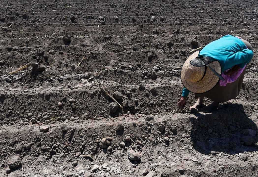 La sucesión de derechos agrarios es gestión más común que los tribunales agrarios atendieron durante el 2024. Foto 