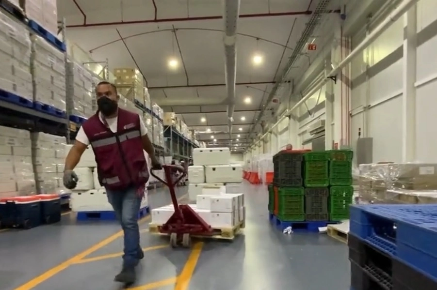 Las vacunas serán distribuidas a través de dos rutas aéreas y dos terrestres. Foto Birmex