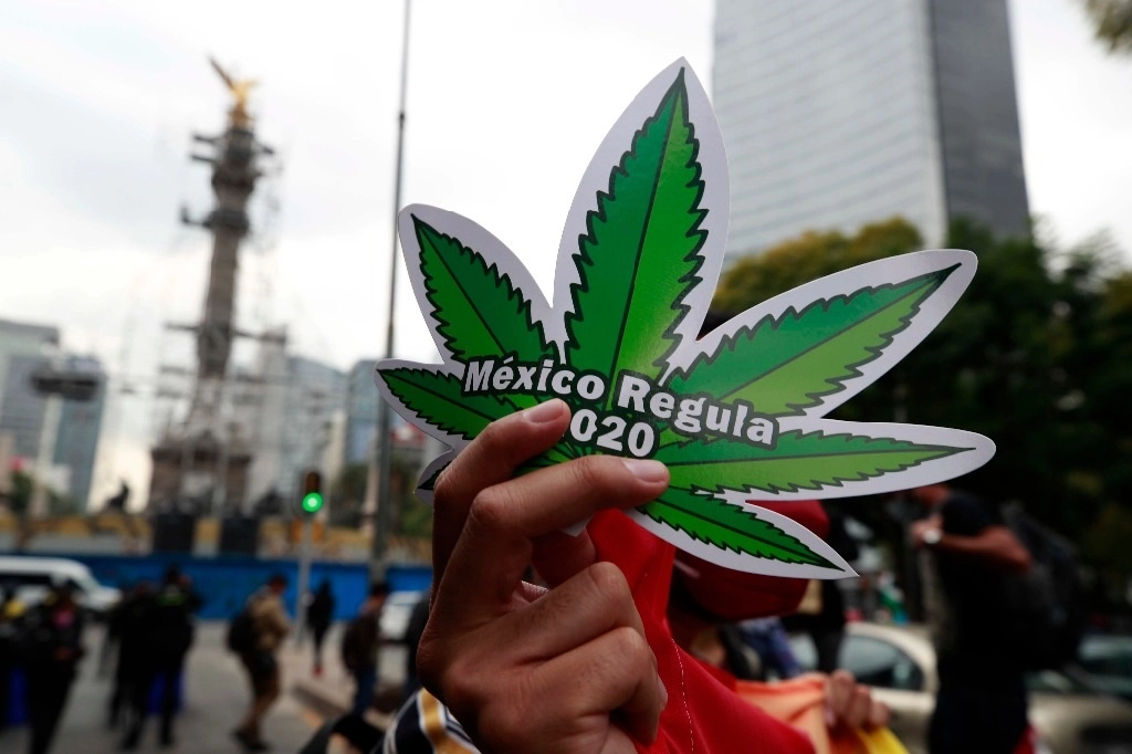 Diversos colectivos a favor de la legalización de la mariguana en el camellon central de Avenida Reforma, tras la aprobación del senado de la legalizacion del uso lúdico de la 'mota'. Foto Alfredo Domínguez
