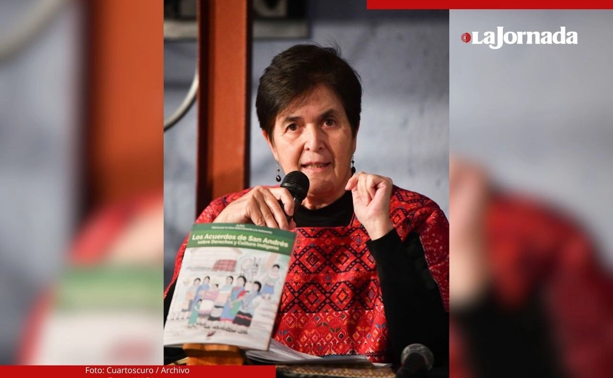 Dolores González Saravia aspira a dirigir la Comisión de Derechos Humanos de la Ciudad de México. Foto 