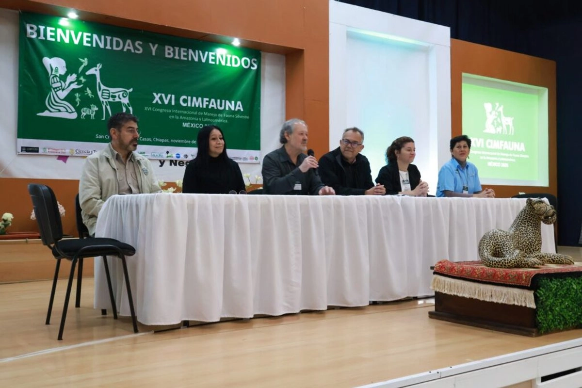 En un documento, solicitaron “urgentemente  a las autoridades de la Secretaría de Ciencia, Humanidades, Tecnología e Innovación (Secihti), establecer una mesa de trabajo permanente con representantes de los CPIs y de la SHCP, con el objetivo de revisar y modificar las disposiciones administrativas que rigen el uso de recursos financieros.