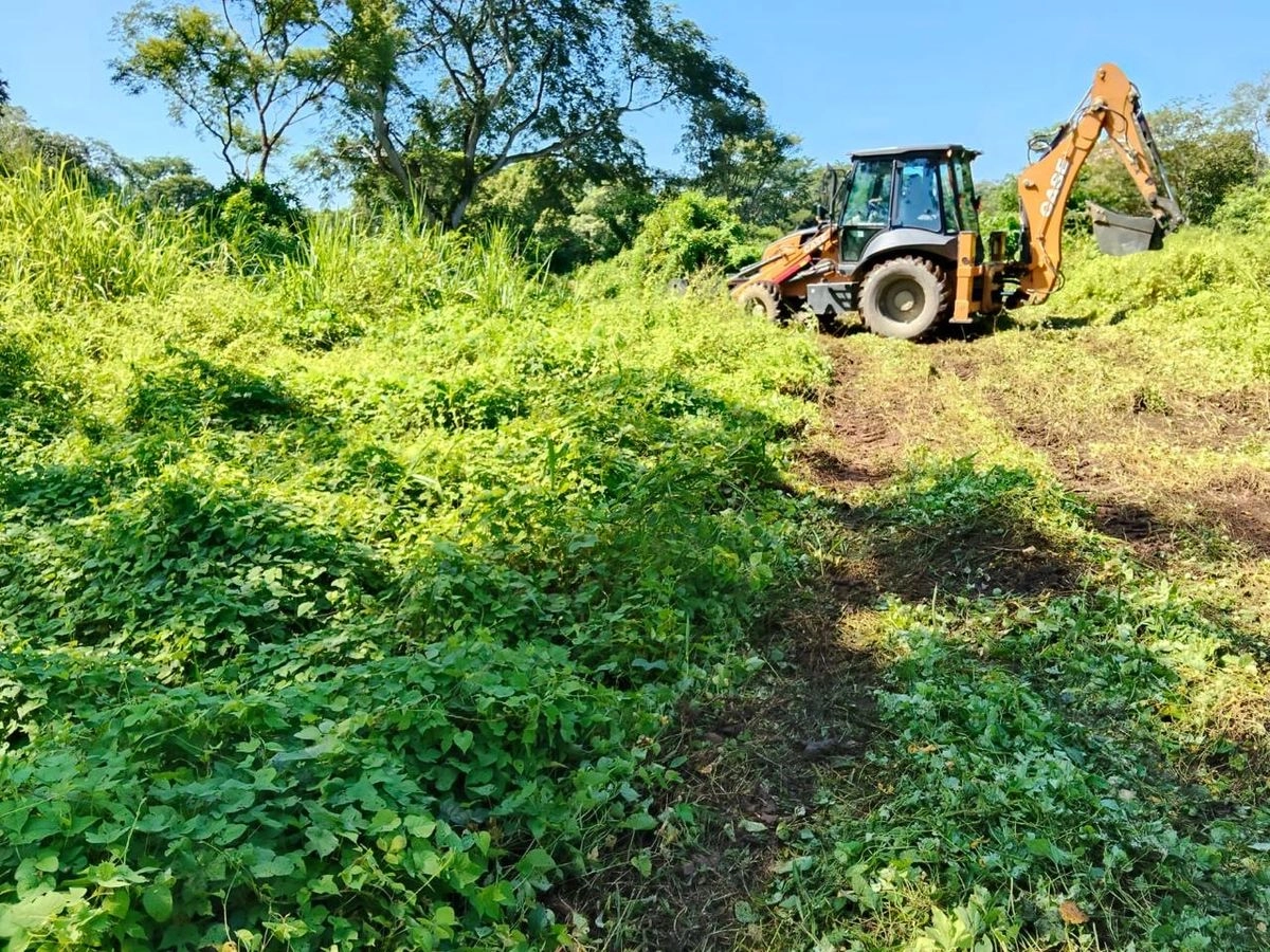 La localidad de Acapetahua se ubica a escasos 80 km de Tapachula, en la frontera con Guatemala, con una población de apenas casi 27 mil habitantes. 