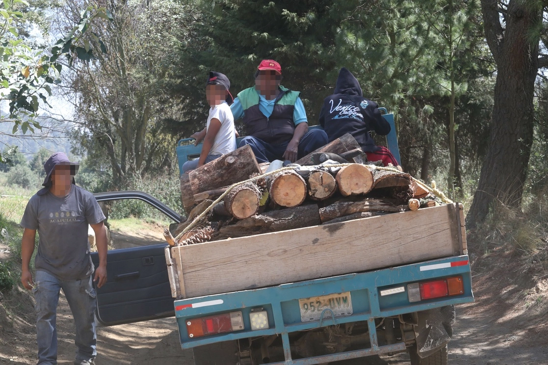 En el Estado de México se producen alrededor de 2 millones 310 mil metros cúbicos de madera. Foto Luis Castillo 