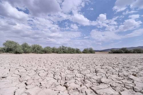 En el ejido Presa de los Muchachos, municipio de Saltillo, Coahuila, se aprecia la sequía que azota a la región debido a la falta de lluvias. Foto Antonio Ojeda / Archivo