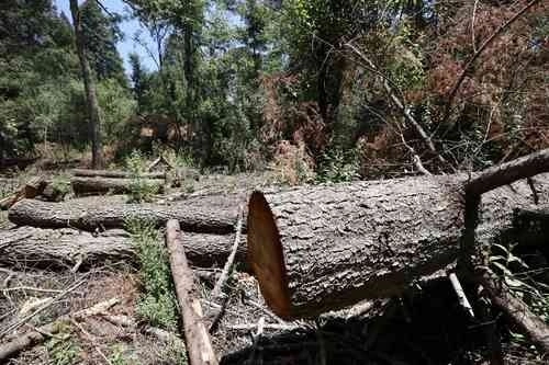 Los vecinos del municipio de Guerrero dieron aviso a las autoridades, de los hechos. Foto Luis Castillo/ Archivo